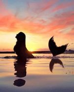 Mermaid Silhouette Paint By Numbers