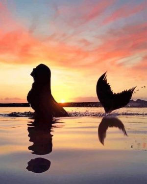 Mermaid Silhouette Paint By Numbers
