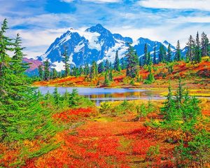 The North Cascades Paint By Numbers