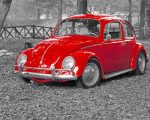 Red Beetle Car Paint By Numbers