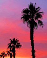 Palms Silhouette Paint By Numbers