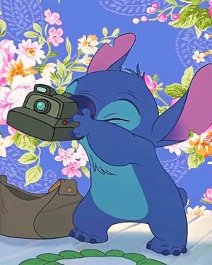 Photographer Stitch Paint By Numbers