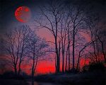 Red Moon Forest Paint By Numbers