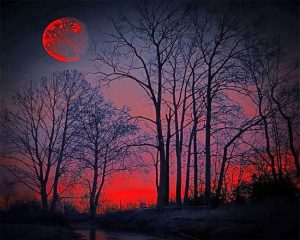 Red Moon Forest Paint By Numbers