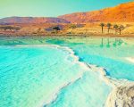Dead Sea Paint By Numbers
