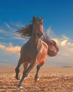 Running Horse Paint By Numbers