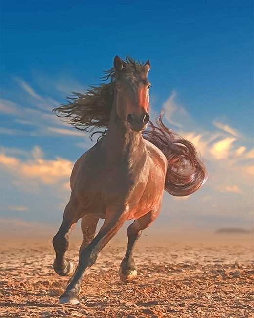 Running Horse Paint By Numbers
