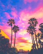 San Diego California Paint By Numbers