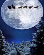 Santa Deer Sleigh Paint By Numbers