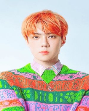 Orange Hair Oh Sehun NEW Paint By Numbers