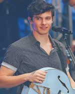 Shawn Peter Raul Mendes NEW Paint By Numbers