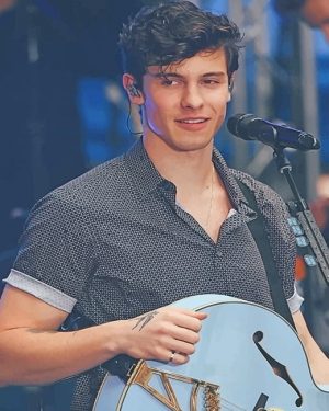 Shawn Peter Raul Mendes NEW Paint By Numbers