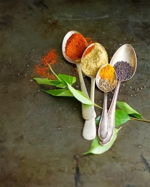 Spices Spoons Paint By Numbers