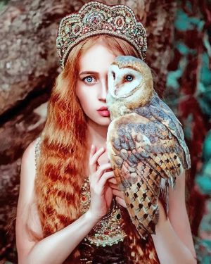 Princess Girl With Owl Paint By Numbers