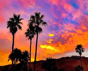 Sunset Palm Trees Paint By Numbers