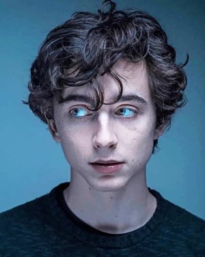 Actor Timothee Chalamet Paint By Numbers