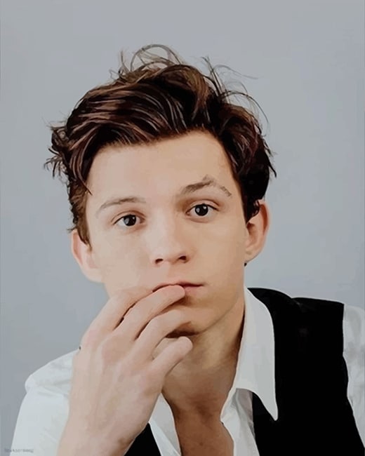 Thomas Stanley Holland Paint By Numbers