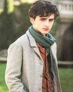 Timothee Chalamet Actor Paint By Numbers