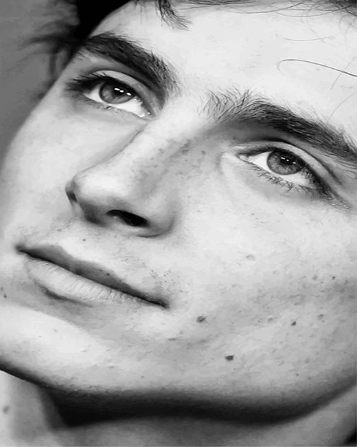 Monochrome Timothee Chalamet Paint By Numbers