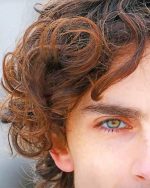 Timothee Chalamet Eye Paint By Numbers