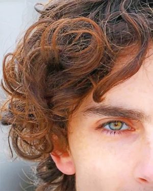 Timothee Chalamet Eye Paint By Numbers