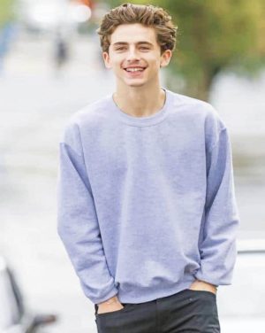 Timothee Chalamet Paint By Numbers