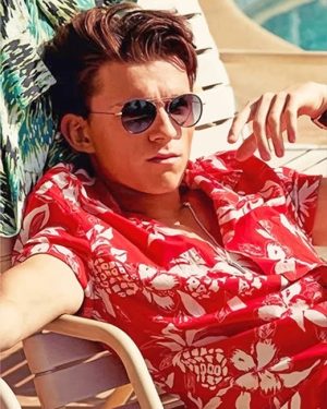 Tom Holland Paint By Numbers