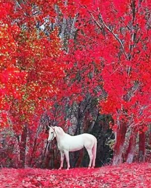 White Horse Paint By Numbers