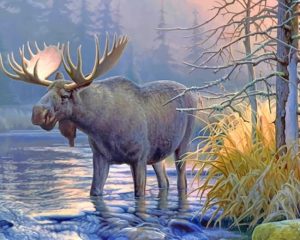 Wildlife Moose Paint By Numbers