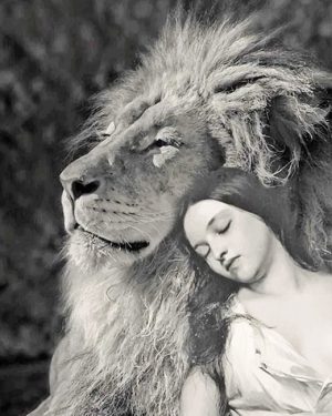 Woman And Lion Paint By Numbers