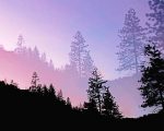 Yosemite Valley Silhouette Paint By Numbers