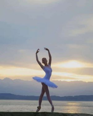 Ballet Dancer paint by numbers