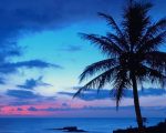 Blue Sunset Palms Paint By Numbers