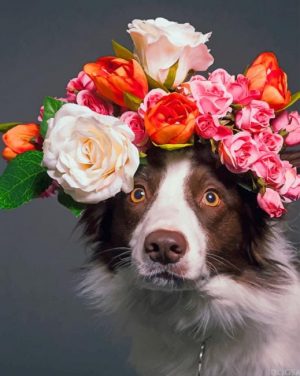 Floral Crown Dog Paint By Numbers