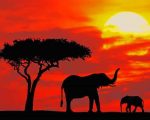 Sunset Elephants Silhouette Paint By Numbers