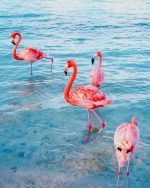 Flamingo Birds Paint By Numbers