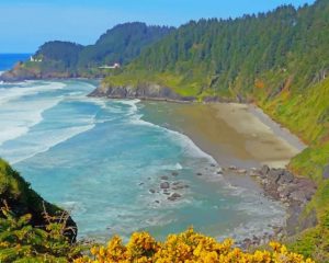 Oregon Coastline Paint By Numbers