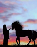 Girl With Horse Silhouette paint by number