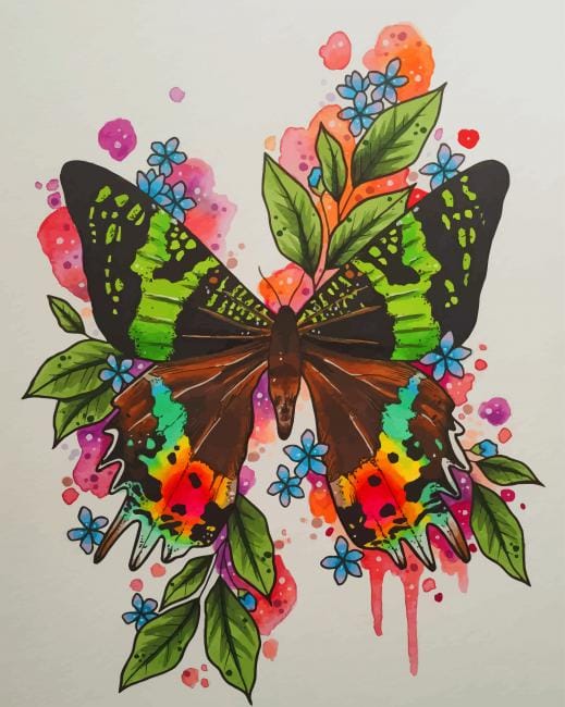 Butterfly Art paint by numbers
