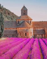 Abbaye Notre Dame de Senanque Paint By Numbers