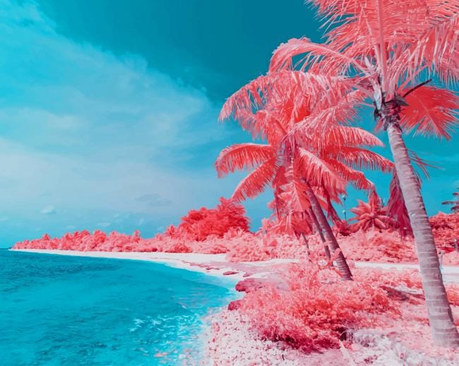 Pink Palms Paint By Numbers