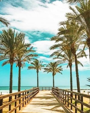 Beach Path Palms Paint By Numbers