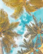 Palm Trees Paint By Numbers