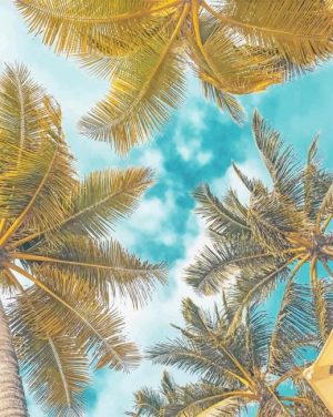 Palm Trees Paint By Numbers