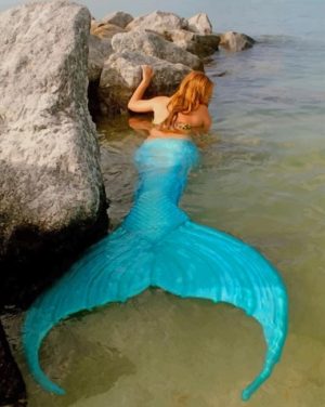 Blue Mermaid Paint By Numbers