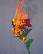 Rose On Fire paint by numbers