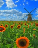 Sunflowers Field paint by numbers