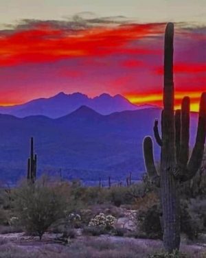 Arizona Desert At Sunset Paint By Numbers