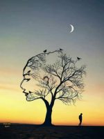 Woman Face Tree Paint By Numbers