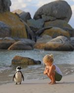 Little Girl And Penguin Paint By Numbers
